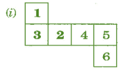 NCERT Solutions for Class 7 Maths - Visualising Solid Shapes- 1
