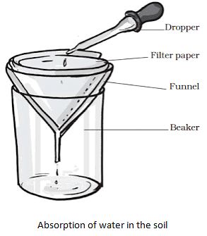 Soil Summary Class 7 NCERT Summary