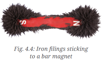 Diagram Based Questions: Exploring Magnets | Science for Class 6