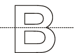 Symmetry Class 7 Worksheet Maths Chapter 12