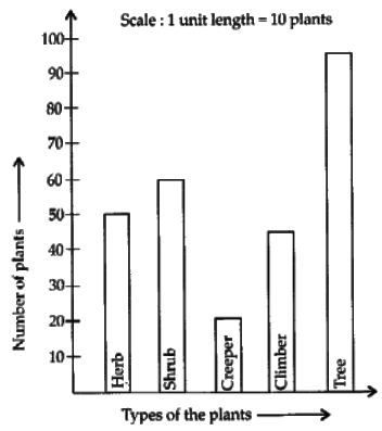 NCERT Exemplar Solutions: Data Handling | Mathematics (Maths) Class 6