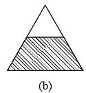 Fractions Class 6 Worksheet Maths Chapter 7