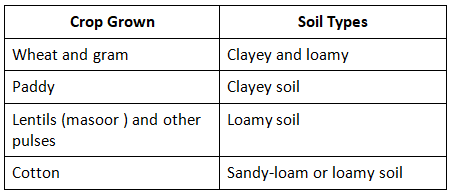 Soil Summary Class 7 NCERT Summary