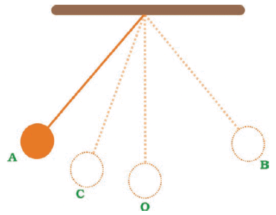 NCERT Exemplar Solutions: Motion & Time | Science Class 7