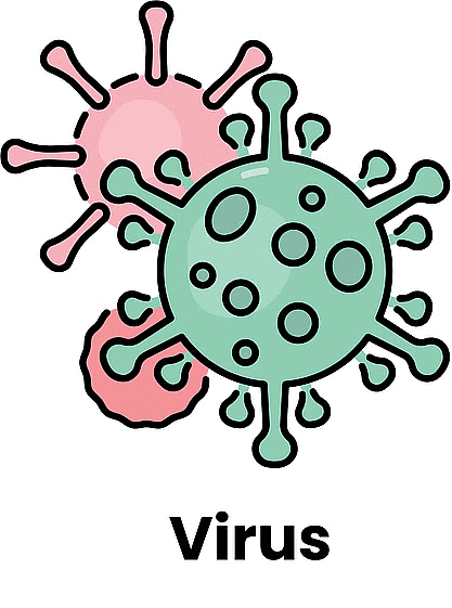 Microorganisms Chapter Notes | IGCSE Cambridge Science for Year 6 - Class 6