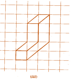 NCERT Solutions for Class 7 Maths - Visualising Solid Shapes- 1