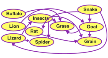 NCERT Exemplar Solutions: Food - Where does it come from | Science for Class 6