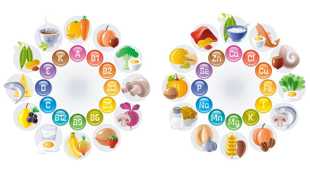 Mindful Eating: A Path to a Healthy Body Chapter Notes | Chapter Notes For Class 6