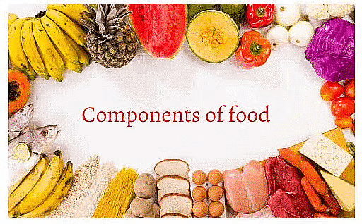 Olympiad Notes: Food and its Components | Science Olympiad Class 6
