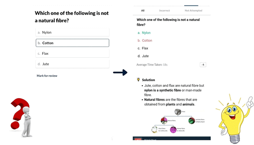 What`s Inside EduRev Infinity for CBSE Class 6? | How To Study For Class 6
