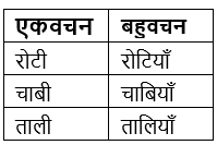 वचन Chapter Notes | Hindi Grammar for Class 6