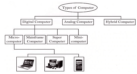 Basics of Computer Chapter Notes | Computer Science for Class 6