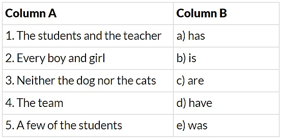 Subject Verb Agreement Class 6 Worksheet English Grammar