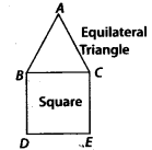 NCERT Exemplar Solutions: Fractions & Decimals | Mathematics (Maths) Class 7 (Old NCERT)