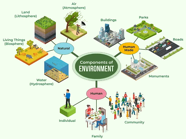 Class 7 Geography Chapter 1 Question Answers - Environment