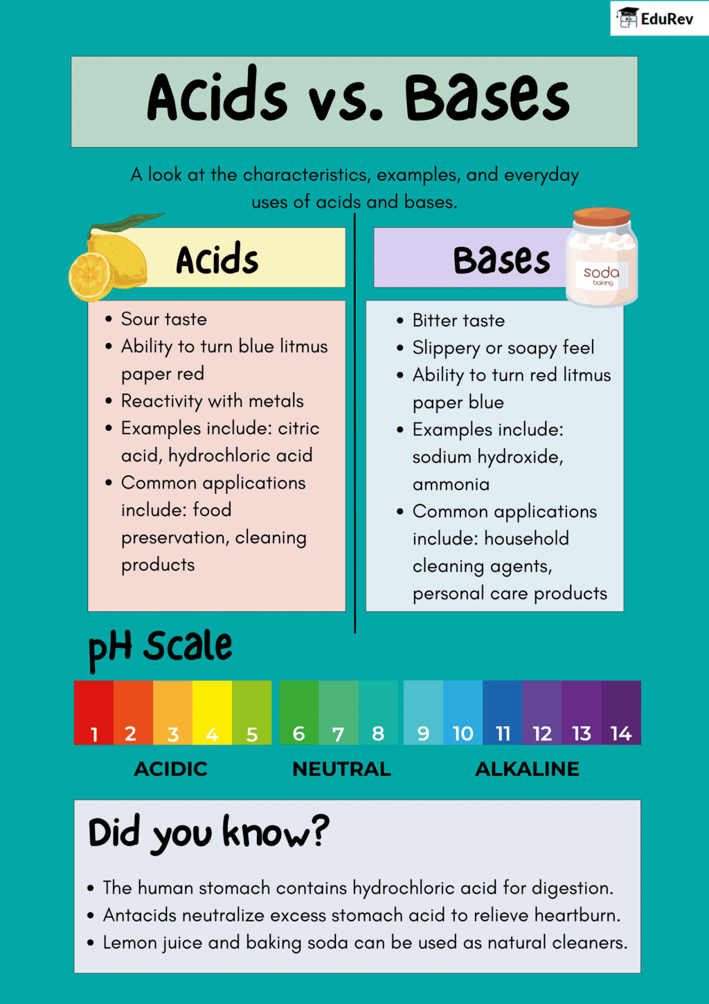 Infographics: Acids, Base and Salts | Science Olympiad Class 7
