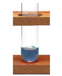 Class 7 Science Chapter 2 NCERT Based Activity - Exploring Substances: Acidic, Basic and Neutral
