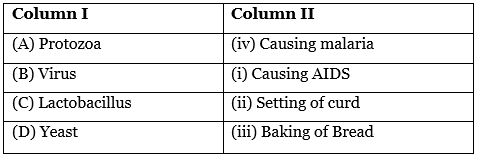 Science Olympiad Previous Year Paper - 1 | Science Olympiad Class 7