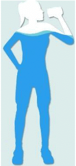Human Body