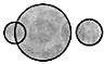 Practice Questions: Logical Venn Diagrams | Science Olympiad Class 6