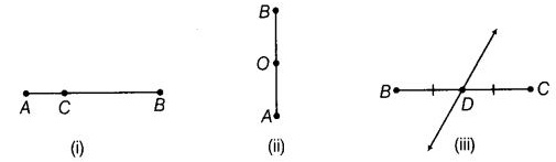 NCERT Exemplar Solutions: Geometry | Mathematics (Maths) Class 6