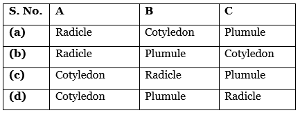 Science Olympiad Previous Year Paper - 1 | Science Olympiad Class 6