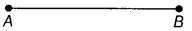 NCERT Exemplar Solutions: Geometry | Mathematics (Maths) Class 6