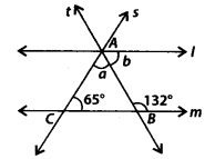 NCERT Exemplar Solutions: Lines & Angles | Mathematics (Maths) Class 7 (Old NCERT)