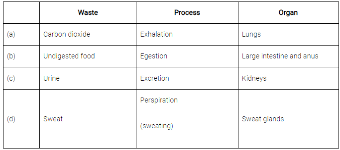 Class 7 Science Chapter 7 HOTS Questions - Transportation in Animals and Plants