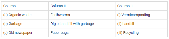 NCERT Exemplar Solutions: Garbage In, Garbage Out | Preparation for NCEE - Primary 6