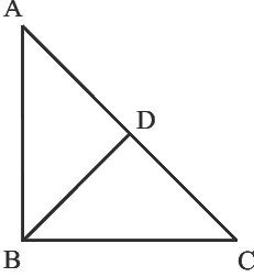 NCERT Exemplar Solutions: Geometry | Mathematics (Maths) Class 6