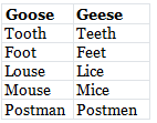 The Noun: Numbers | English Grammar for Class 6