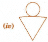 NCERT Solutions for Class 7 Maths - Visualising Solid Shapes- 1