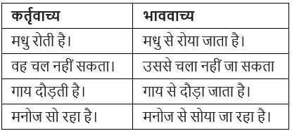 वाच्य Chapter Notes | Hindi Grammar for Class 6