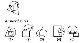 Olympiad Notes: Dot Situation | Science Olympiad Class 6