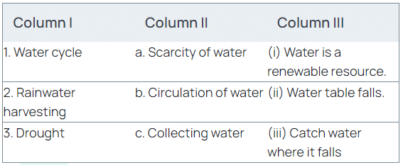 Science Olympiad Model Test Paper - 2 | Science Olympiad Class 6