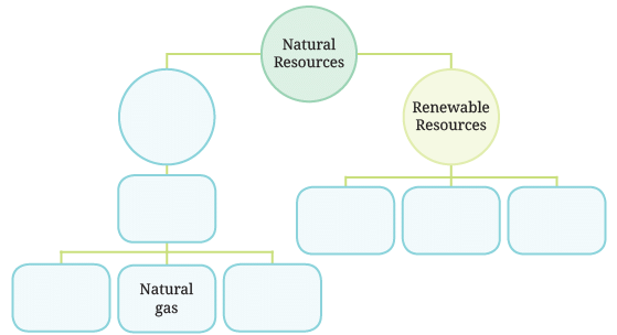 Nature`s Treasures NCERT Solutions | Science for Class 6