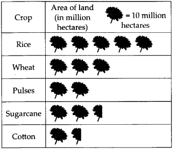 NCERT Exemplar Solutions: Data Handling | Mathematics (Maths) Class 6
