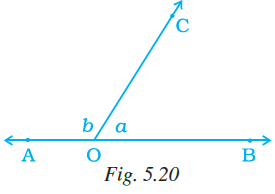 NCERT Exemplar Solutions: Lines & Angles | Mathematics (Maths) Class 7 (Old NCERT)