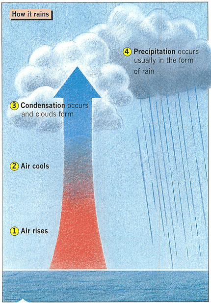 Textbook solutions: Weather and Climate | IGCSE Oxford Geography Foundations for Year 6 - Class 6
