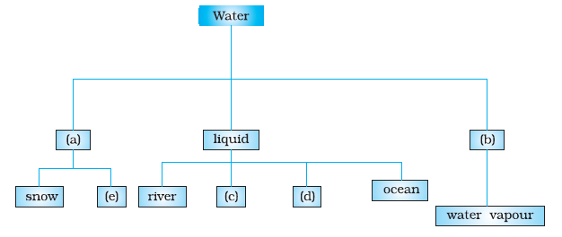 NCERT Exemplar Solutions: Water - A Precious Resource | Science Olympiad Class 7