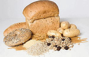 Olympiad Notes: Food and its Components | Science Olympiad Class 6