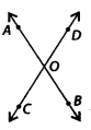 NCERT Exemplar Solutions: Lines & Angles | Mathematics (Maths) Class 7 (Old NCERT)