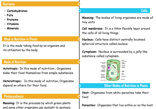What all do you get under EduRev Infinity for Class 7? | Parent`s Guide to EduRev Infinity for Class 7