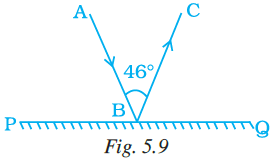 NCERT Exemplar Solutions: Lines & Angles | Mathematics (Maths) Class 7 (Old NCERT)