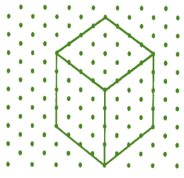 NCERT Solutions for Class 7 Maths - Visualising Solid Shapes- 1