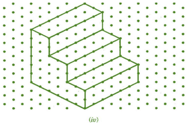 NCERT Solutions for Class 7 Maths - Visualising Solid Shapes- 1