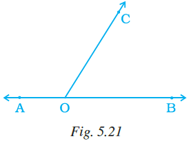 NCERT Exemplar Solutions: Lines & Angles | Mathematics (Maths) Class 7 (Old NCERT)