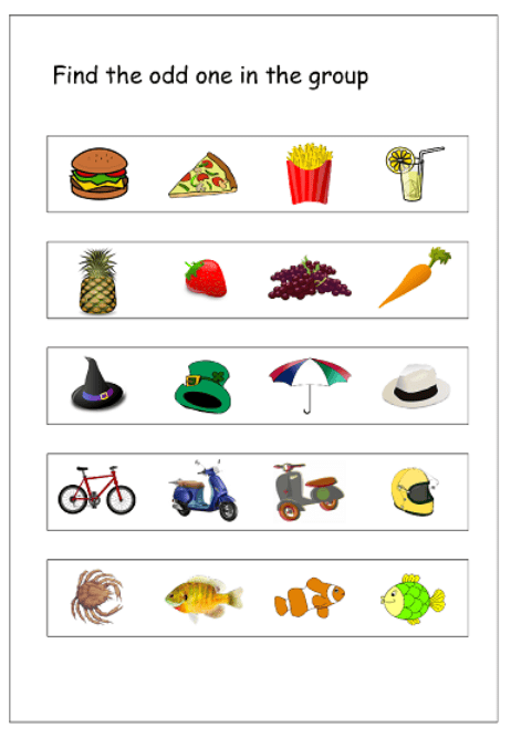 Olympiad Notes: Odd One Out | Science Olympiad Class 6