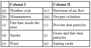 NCERT Exemplar Solutions: Air around Us | Science for Class 6